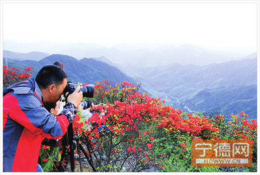 影友忙聚焦 吳蘇梅 攝