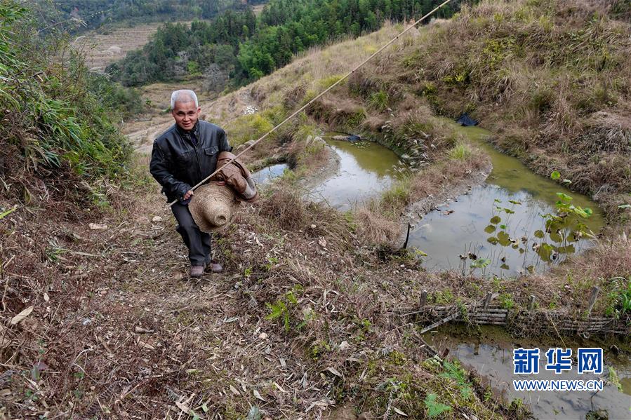 (圖片故事)(2)肖流標(biāo)脫貧記