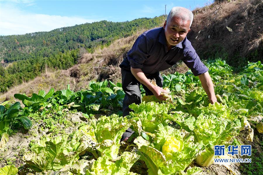(圖片故事)(4)肖流標(biāo)脫貧記